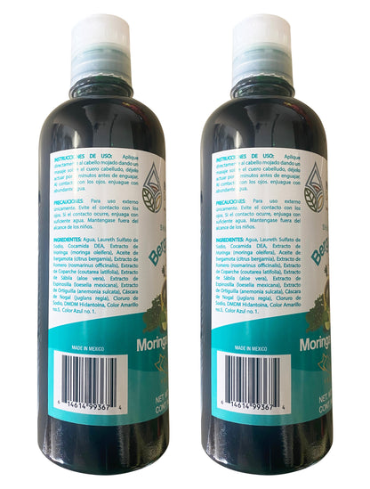 2 Pack Shampoo de Bergamota con Moringa y Romero Shampoo 16 Fl Oz Enriquecido Premium Quality