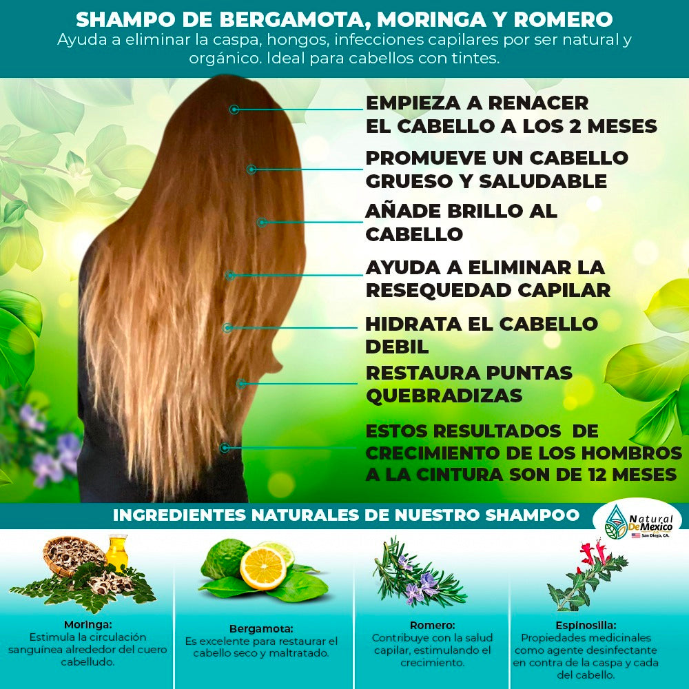 Combo Shampoo Acondicionador y Serúm Bergamota Moringa y Romero