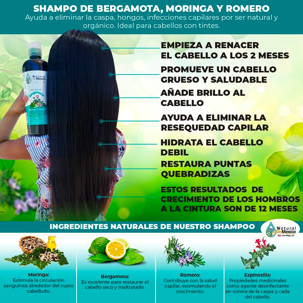 Shampoo Bergamota Moringa y Romero Combo de 3